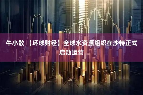 牛小散 【环球财经】全球水资源组织在沙特正式启动运营